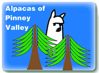Alpacas Of Pinney Valley - Logo