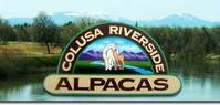 Colusa Riverside Alpacas - Logo