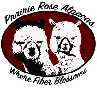 Prairie Rose Alpacas, LLC - Logo