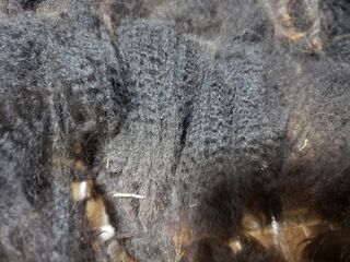 Alpaca Raw Fleece (Black) #2.0