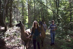 September 2020 - Llama Nature Trails Walk