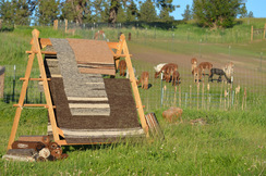 Check out our alpaca rugs and other products at our online Store