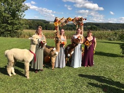Country wedding 2018