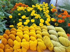 Photo of Yarn - Hand dyed, natural dyes