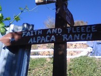 Faith and Fleece Alpacas - Logo