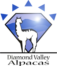 Diamond Valley Alpacas - Logo