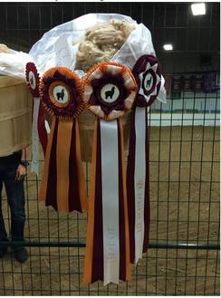 Castiels fleece at Navin Fair 2015