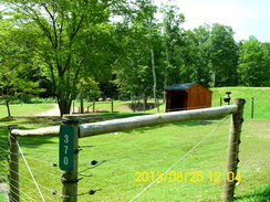 Alpacas have lots of all-day SHADE & COOL creek to drink/dip in year-round. Welcome calls for visits