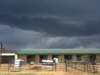 Storm a coming-Bellvue Colorado Ranch