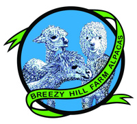 Breezy Hill Boutique - Logo