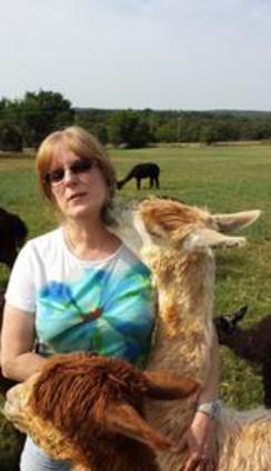 Kisses from Charlotte, our Suri alpaca