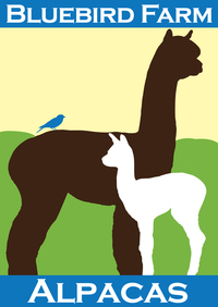 Bluebird Farm Alpacas - Logo