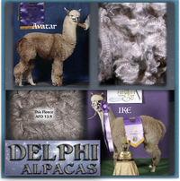 Delphi Alpacas - Logo