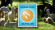 Derwydd Alpacas - Logo