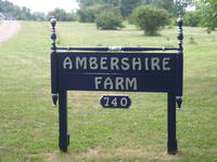 Ambershire Farm - Logo