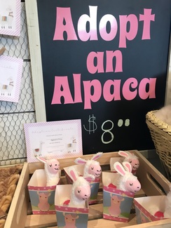 Adopt an alpaca! These cuties need to be named and taken to a loving home - comes with their own birth certificate! 