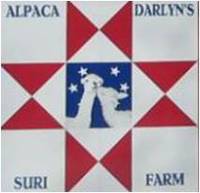 Alpaca Darlyn's Suri Farm - Logo
