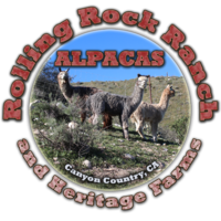 Rolling Rock Ranch Alpacas - Logo