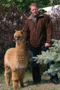 Alpaca Barn Jacket (Size: 2XL)