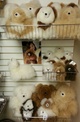 Large Selection of Alpaca Teddy Bears!