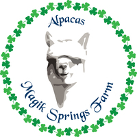 Magik Springs Farm - Logo