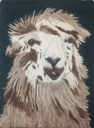 Appaloosa Alpaca Fiber Painting