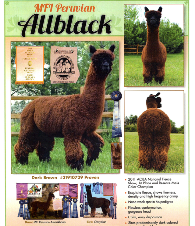 Color Genotyping of Alpacas: What We Are Learning
