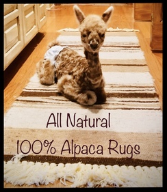 Click on “Products” 1 of a Kind Hand Made Rugs
