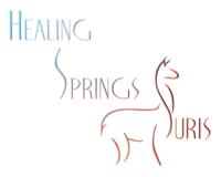 Healing Springs Suris LLC - Logo