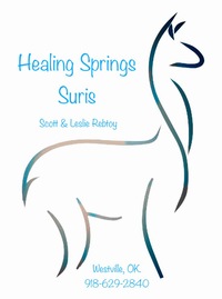 Healing Springs Suris - Logo