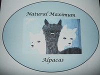 Natural Maximum Alpacas - Logo