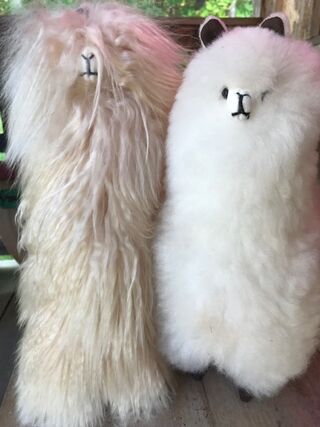 Alpaca Dolls Suri and Huacaya