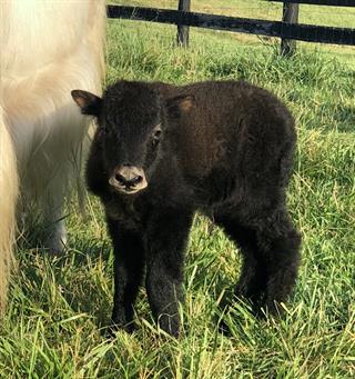 June 2020 - only 24 hours old