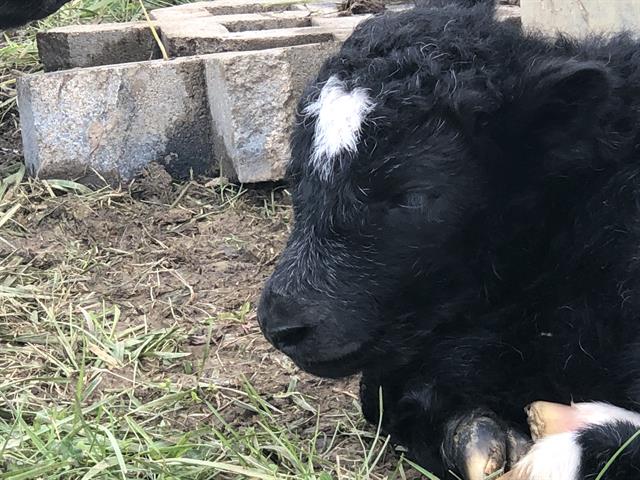 Just one day old