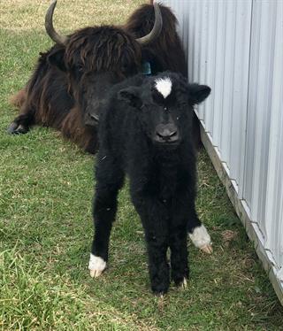One day old! 