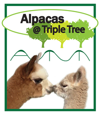 Alpacas @ Triple Tree - Logo