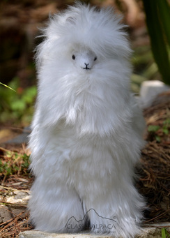 PREMIUM Baby Suri Fur-14 inch Alpaca