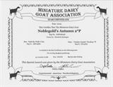 Dam's milk award