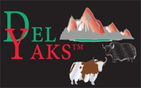 DELYAKS - Logo