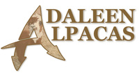 Adaleen Alpacas - Logo