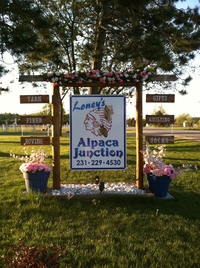 Loney's Alpaca Junction - Logo