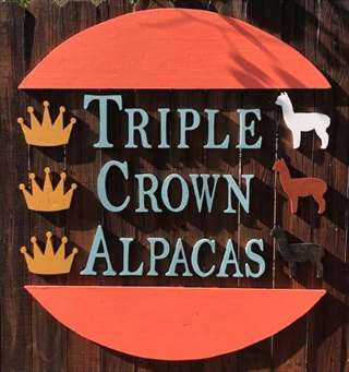 Triple Crown Alpacas - Logo