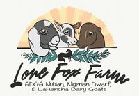 Lone Fox Farm - Logo