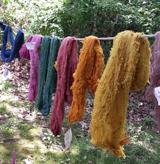Gardening and Foraging Natural Dyes