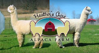 Heather's Acre Alpaca Farm - Logo