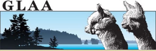 GLAA - Great Lakes Alpaca Association logo