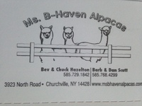 Ms. B-Haven Alpacas - Logo