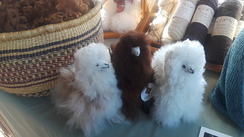 Alpacas, small fluffy alpacas