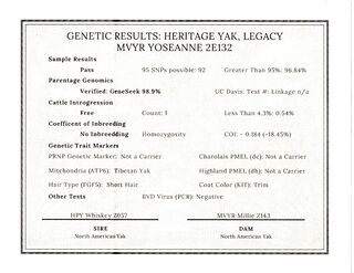 Yoseanne 2E132 WHYC genetic data