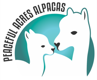 Peaceful Acres Alpacas - Logo